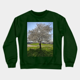 White Cherry Blossom Crewneck Sweatshirt